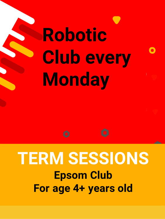 Jr Robotic club Summer