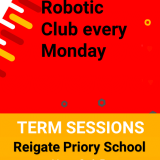 Robotic club
